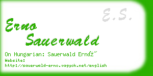 erno sauerwald business card